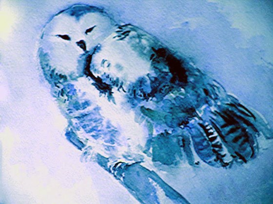 Иллюстрации: Иллюстрации 